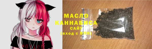 Альфа ПВП Няндома