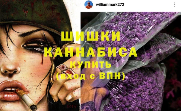 Альфа ПВП Няндома