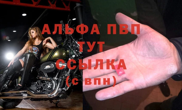 Альфа ПВП Няндома