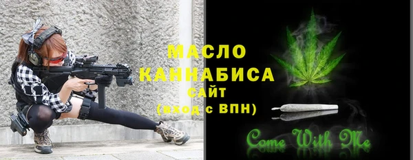 Альфа ПВП Няндома