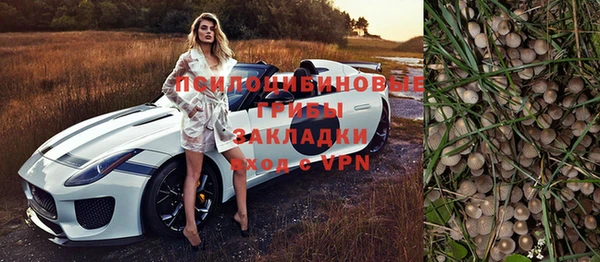 Альфа ПВП Няндома