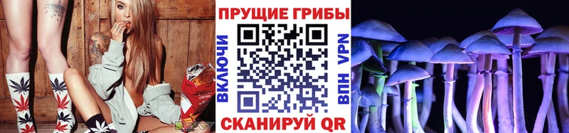 Псилоцибиновые грибы Cubensis  кракен   Хасавюрт 