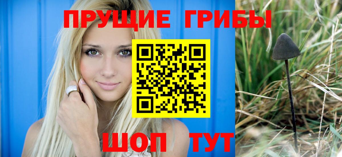Псилоцибиновые грибы Magic Shrooms  Псилоцибиновые грибы прущие грибы  Вход с VPN  Хасавюрт 